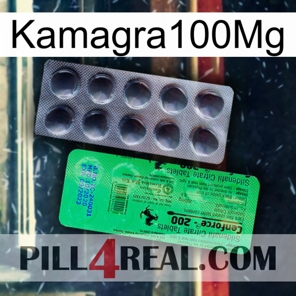 Kamagra100Mg new04.jpg